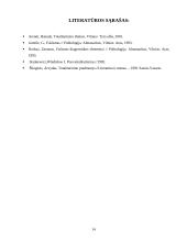 Totalitarizmas 14 puslapis