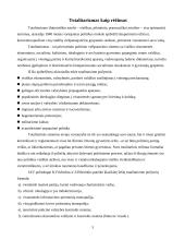 Totalitarizmas 3 puslapis