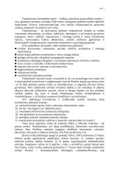 Totalitarinė sistema