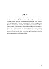 Totalitarizmo koncepcijos ir jo veikimo mechanizmas 3 puslapis