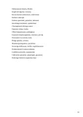 Traditional versus modern banking 14 puslapis