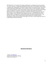 Traktoriai ir automobiliai 11 puslapis