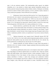 Traktoriai ir automobiliai 6 puslapis