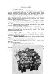 Traktorių varikliai