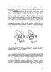 Traktorių varikliai 12 puslapis