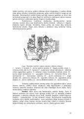 Traktorių varikliai 16 puslapis