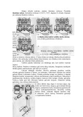 Traktorių varikliai 3 puslapis