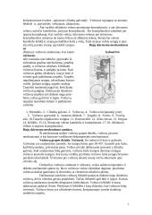 Traktorių varikliai 7 puslapis