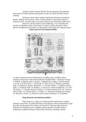 Traktorių varikliai 9 puslapis