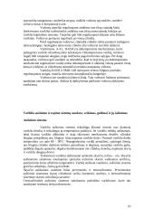 Traktorių varikliai 10 puslapis