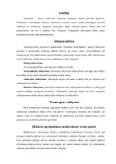 Tramvajaus veikimas 2 puslapis