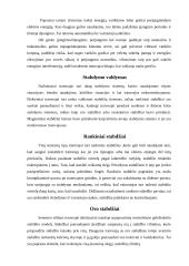 Tramvajaus veikimas 3 puslapis