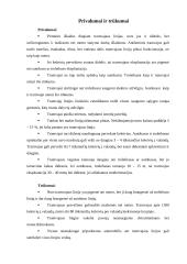 Tramvajaus veikimas 5 puslapis