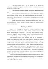 Tramvajaus veikimas 6 puslapis