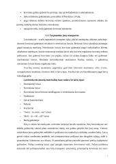 Transporto logistika Lietuvoje 7 puslapis