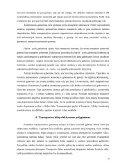 Transporto logistika Lietuvoje 10 puslapis