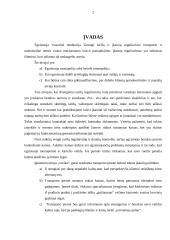 Transporto tarifai 2 puslapis