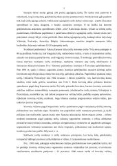 Transporto tarifai 7 puslapis