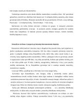 Transporto taršos žala atmosferai 4 puslapis