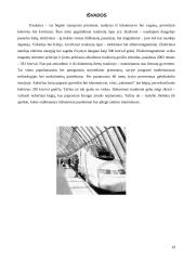 Traukinių tipologija 19 puslapis