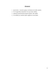 Trumpalaikio turto apyvartumo rodiklių apskaičiavimas ir charakteristika 13 puslapis