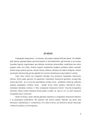 Trumpalaikis finansavimas 2 puslapis