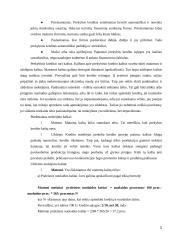 Trumpalaikis finansavimas 4 puslapis