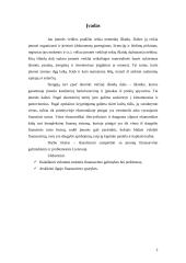 Trumpalaikis ir ilgalaikis finansavimas 2 puslapis