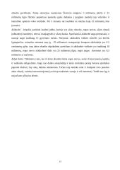 Trumparegystė ir toliaregystė 12 puslapis