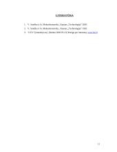 Trumpo laikotarpio visuminės pasiūlos ir kainų bei darbo užmokesčio prisiderinimas 11 puslapis