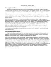 Turbinos darbas 2 puslapis