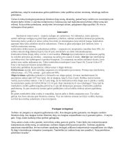 Turbinos darbas 4 puslapis