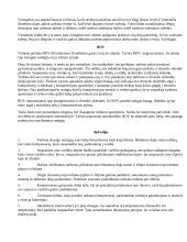 Turbinos darbas 5 puslapis