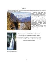 Turistinis maršrutas į Šveicariją 2 puslapis