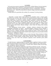 Turistinis maršrutas į Šveicariją 4 puslapis