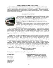 Turistinis maršrutas į Šveicariją 5 puslapis