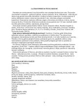 Turistinis maršrutas į Šveicariją 8 puslapis