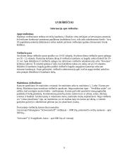 Turistinis maršrutas į Šveicariją 9 puslapis