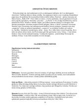 Turistinis maršrutas į Šveicariją 10 puslapis