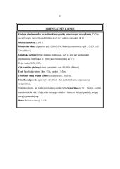 Turistinis maršrutas Kinijoje 15 puslapis