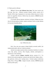 Turistinis maršrutas Kinijoje 8 puslapis