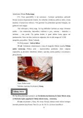 Turistinis maršrutas Kinijoje 9 puslapis