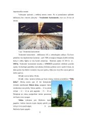 Turistinis maršrutas Kinijoje 10 puslapis