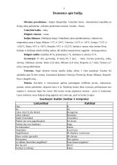 Turistinis maršrutas po Italiją 3 puslapis