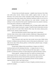 Turistinių firmų aprašymas 2 puslapis