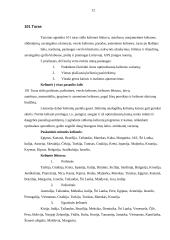 Turistinių firmų aprašymas 12 puslapis