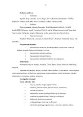 Turistinių firmų aprašymas 13 puslapis