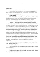 Turistinių firmų aprašymas 17 puslapis