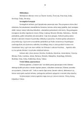 Turistinių firmų aprašymas 18 puslapis