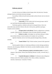 Turistinių firmų aprašymas 4 puslapis